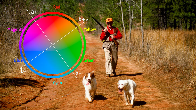 Adobe Photoshop: цветовая модель Lab. Практика применения