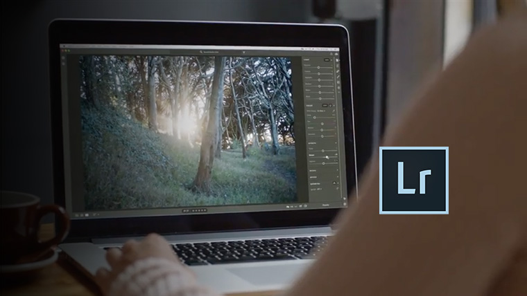Adobe Lightroom: быстрый старт