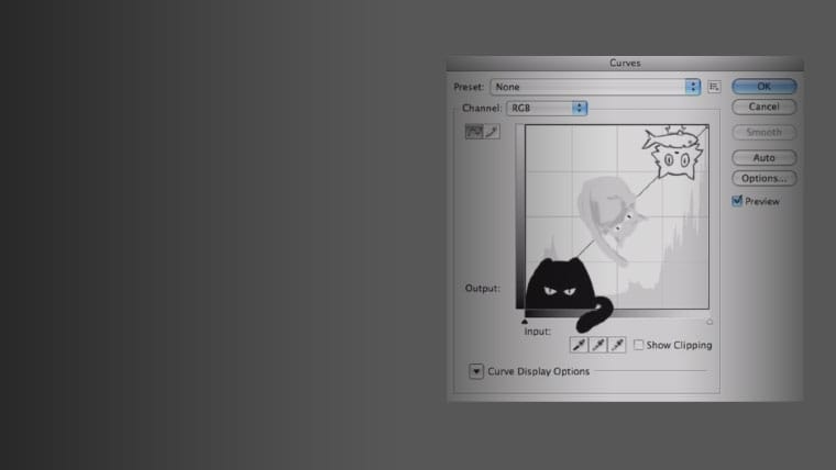 Adobe Photoshop: тоновая коррекция монохромных изображений