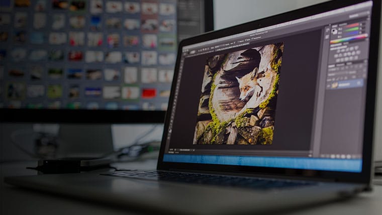 Adobe Photoshop: подготовка изображений к передаче заказчику
