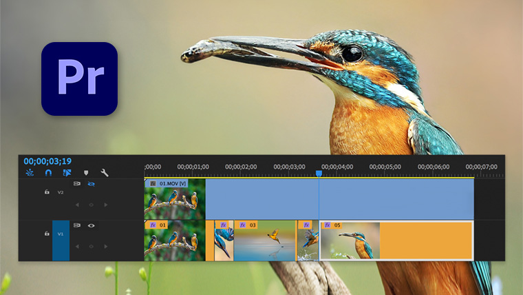Новинки Adobe Premiere Pro 2020.4