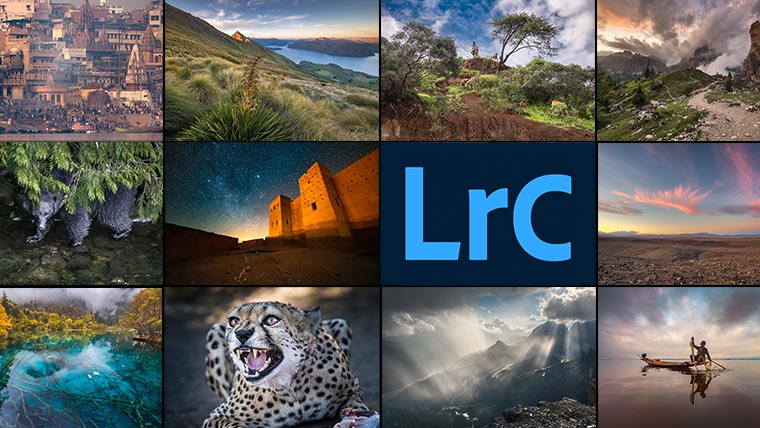 Adobe Lightroom Classic: практика обработки 2020